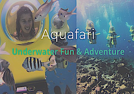 Explore the ocean on an underwater scooter.